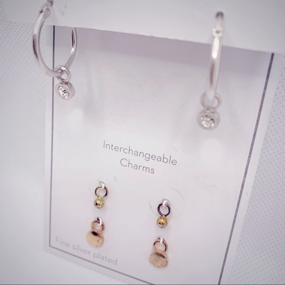 Gold and Silver Interchangeable Earrings Set with Charms - Picture 8 of 8